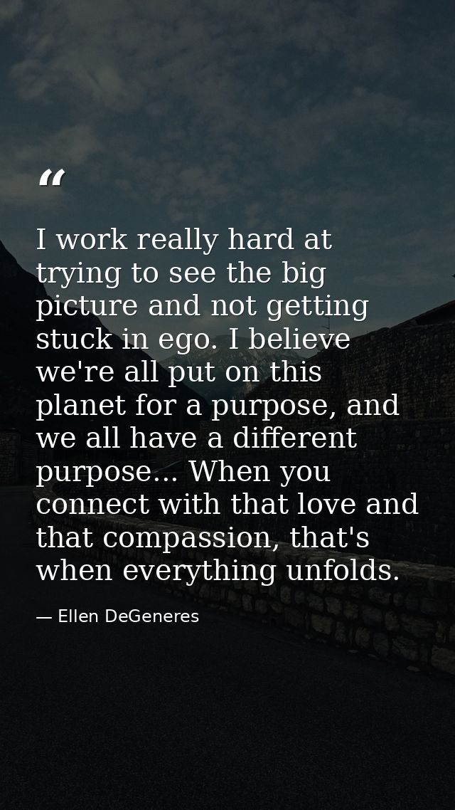 I work really hard at trying to see the big picture and not getting stuck in ego. I believe we're all put on this planet — Ellen DeGeneres