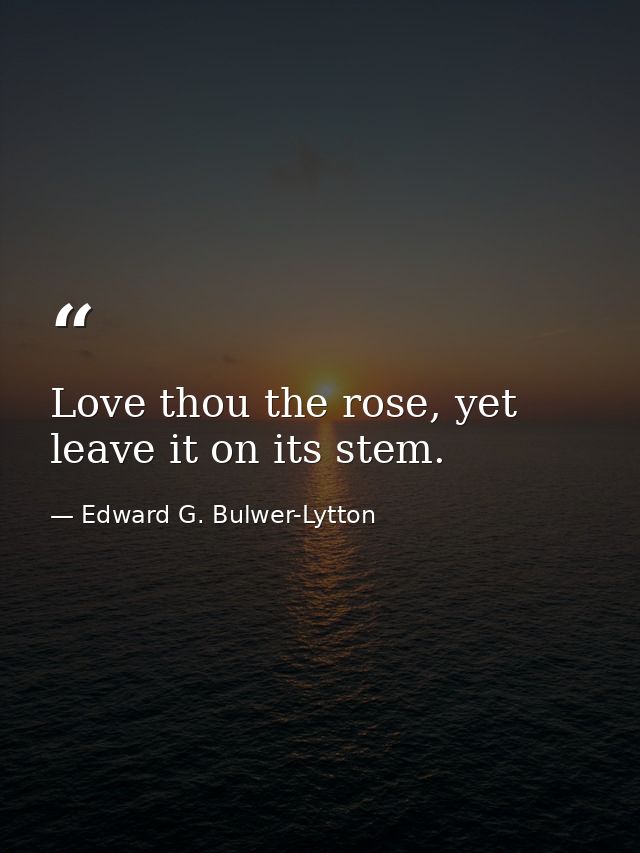 Love thou the rose, yet leave it on its stem. — Edward G. Bulwer-Lytton