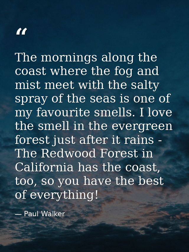 The mornings along the coast where the fog and mist meet with the salty spray of the seas is one of my favourite smells. — Paul Walker