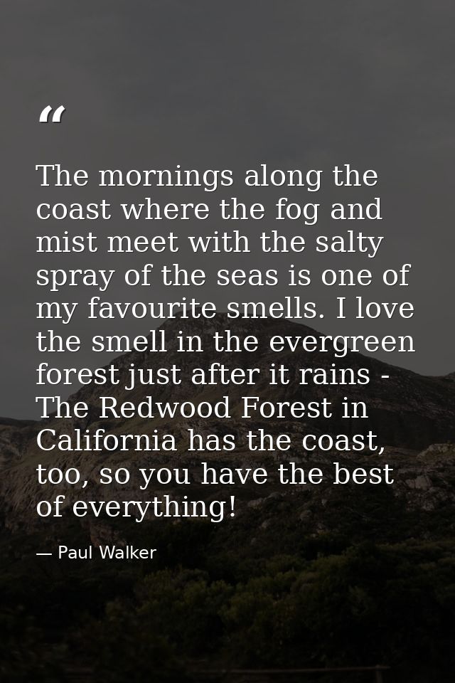 The mornings along the coast where the fog and mist meet with the salty spray of the seas is one of my favourite smells. — Paul Walker