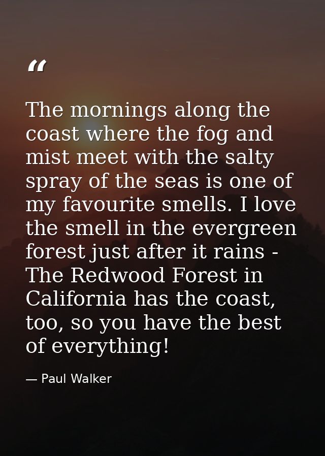 The mornings along the coast where the fog and mist meet with the salty spray of the seas is one of my favourite smells. — Paul Walker