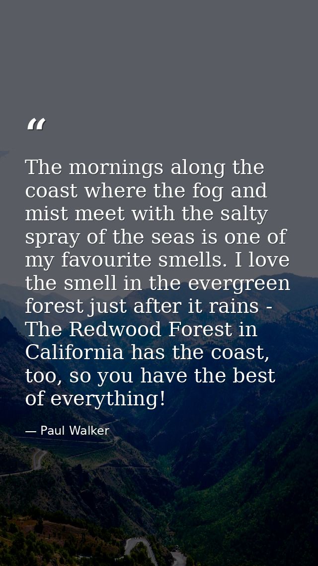 The mornings along the coast where the fog and mist meet with the salty spray of the seas is one of my favourite smells. — Paul Walker