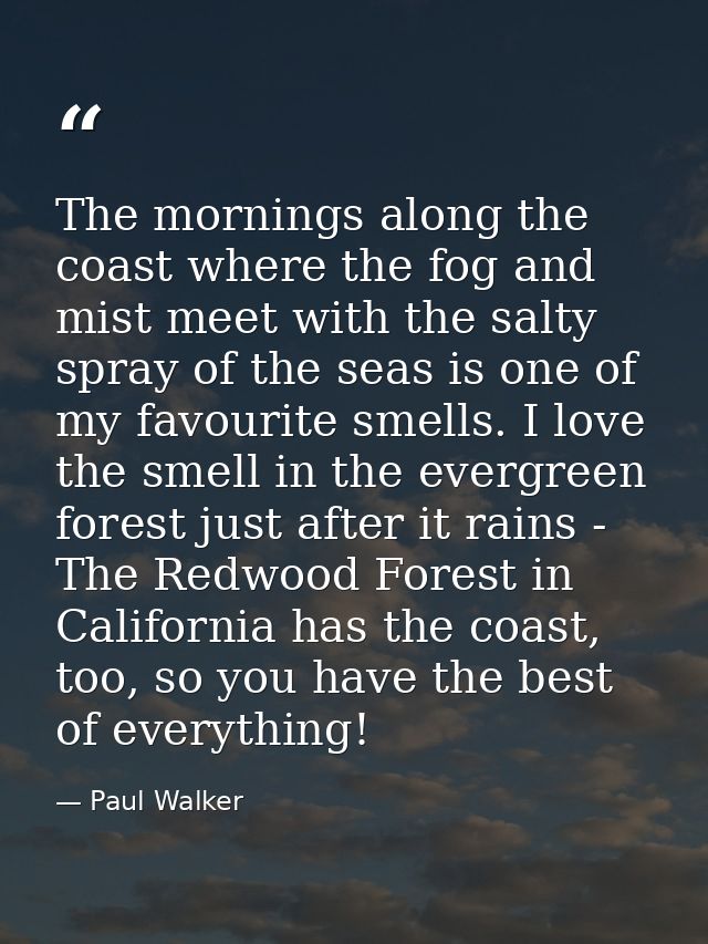 The mornings along the coast where the fog and mist meet with the salty spray of the seas is one of my favourite smells. — Paul Walker