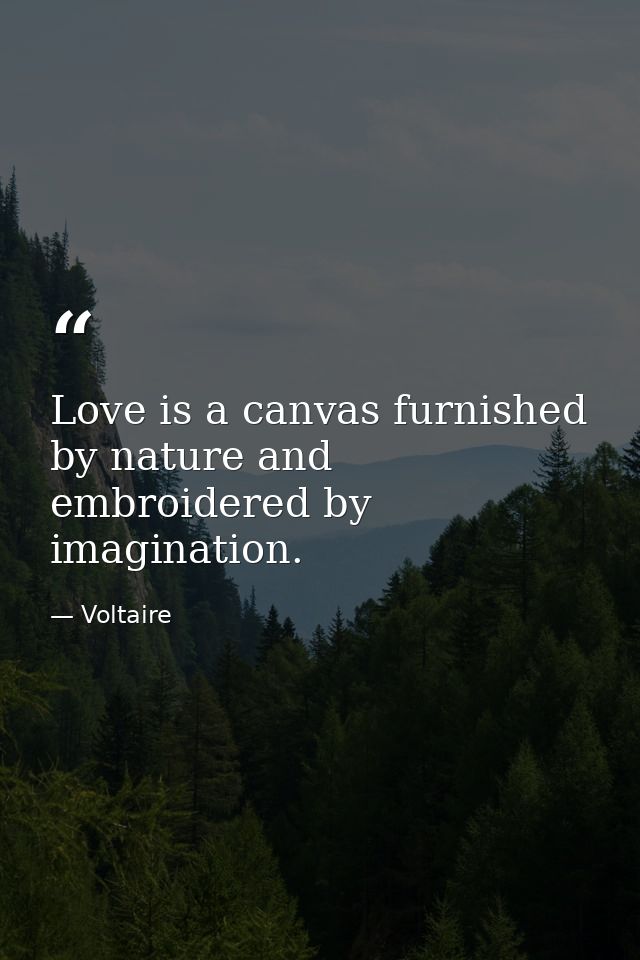 Love is a canvas furnished by nature and embroidered by imagination. — Voltaire