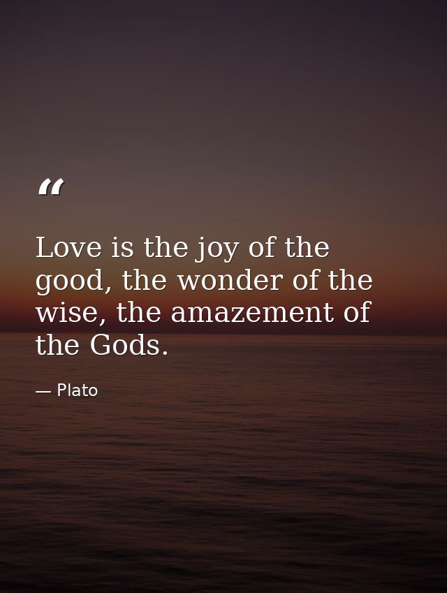 Love is the joy of the good, the wonder of the wise, the amazement of the Gods. — Plato