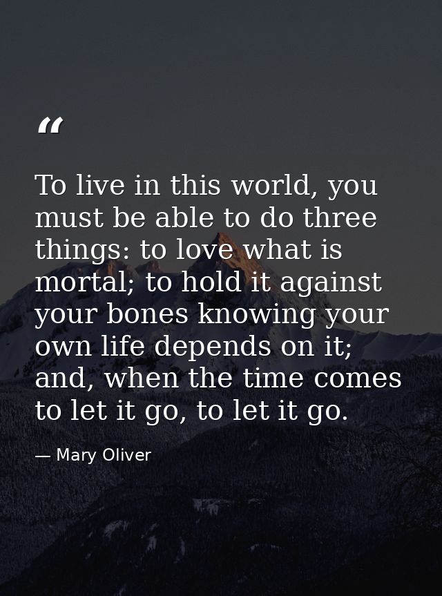 To live in this world, you must be able to do three things: to love what is mortal; to hold it against your bones knowin — Mary Oliver