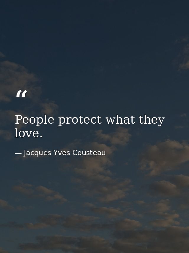 People protect what they love. — Jacques Yves Cousteau