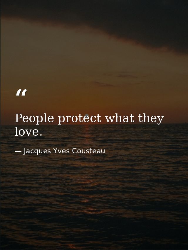People protect what they love. — Jacques Yves Cousteau