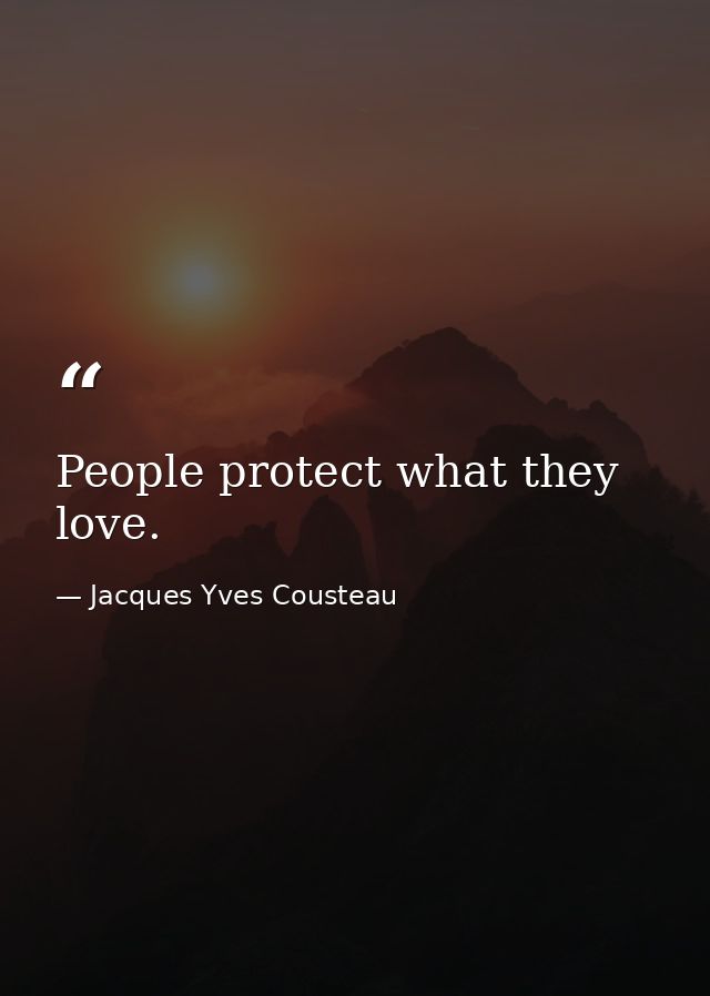 People protect what they love. — Jacques Yves Cousteau