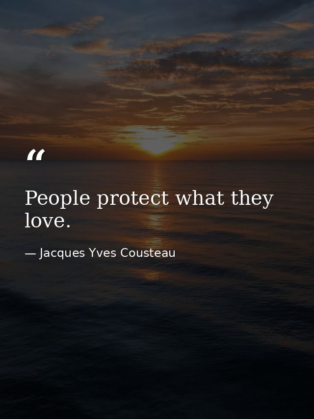 People protect what they love. — Jacques Yves Cousteau