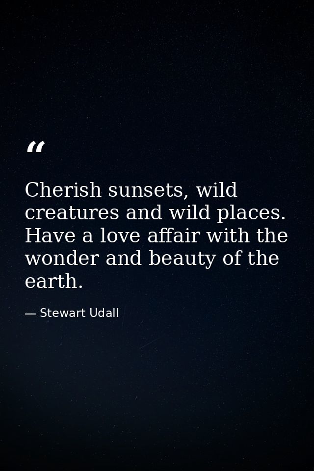 Cherish sunsets, wild creatures and wild places. Have a love affair with the wonder and beauty of the earth. — Stewart Udall