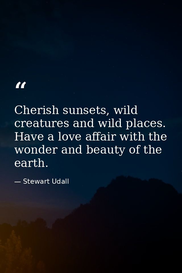 Cherish sunsets, wild creatures and wild places. Have a love affair with the wonder and beauty of the earth. — Stewart Udall