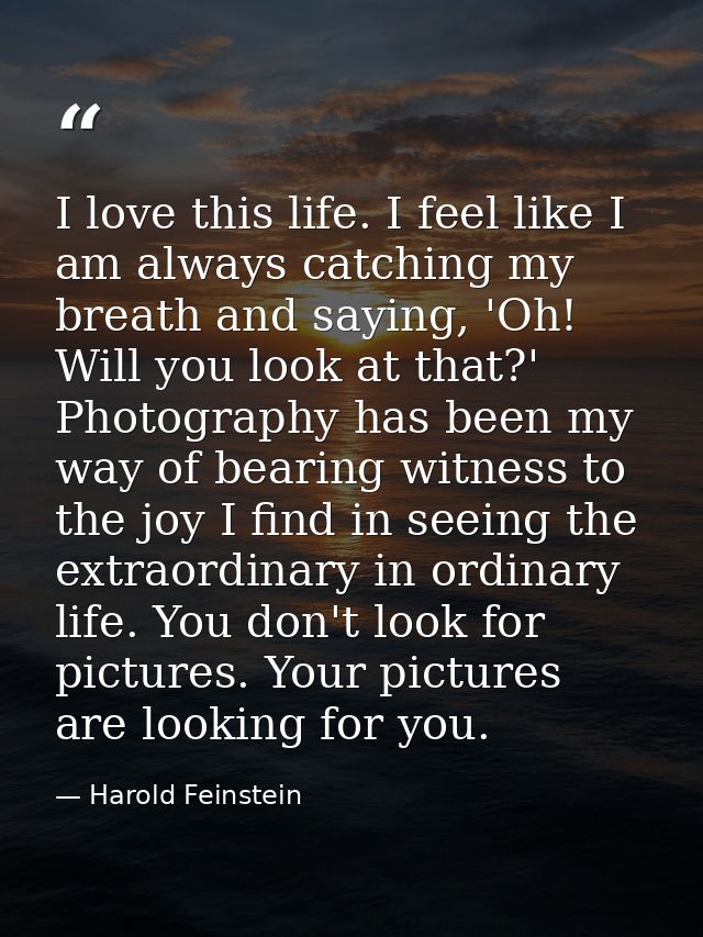 I love this life. I feel like I am always catching my breath and saying, 'Oh! Will you look at that?' Photography has be — Harold Feinstein