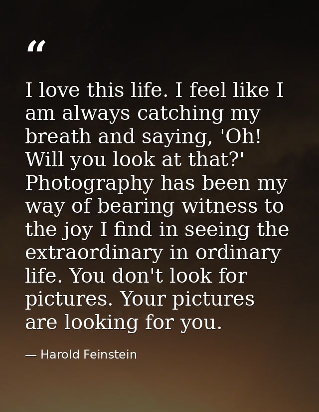 I love this life. I feel like I am always catching my breath and saying, 'Oh! Will you look at that?' Photography has be — Harold Feinstein