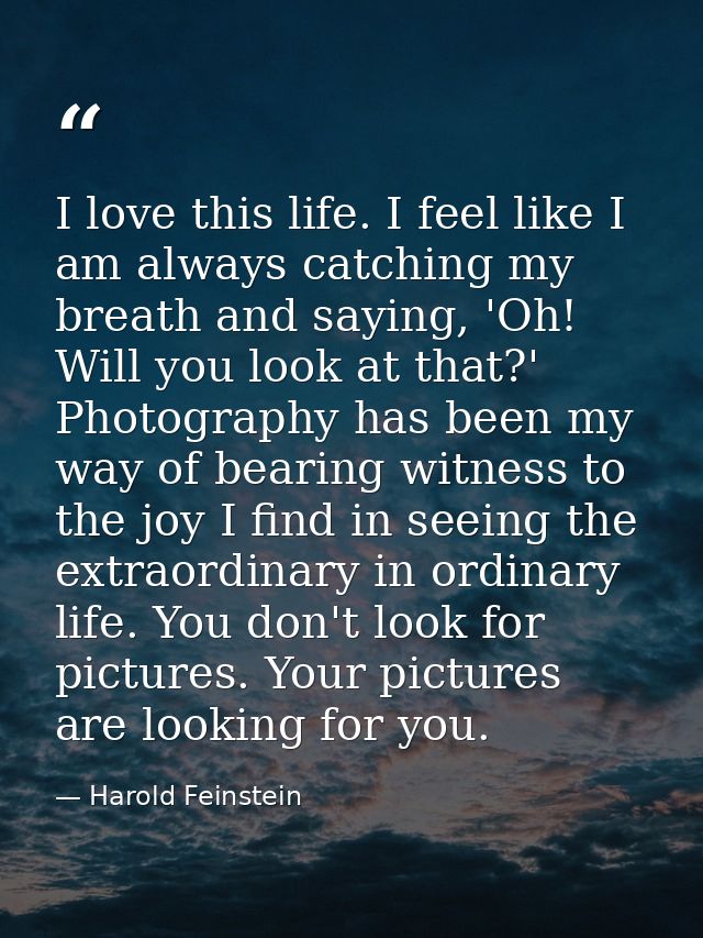I love this life. I feel like I am always catching my breath and saying, 'Oh! Will you look at that?' Photography has be — Harold Feinstein