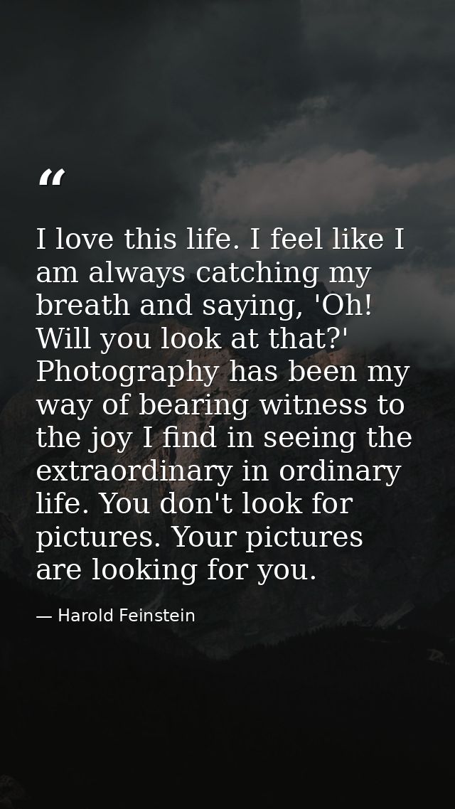 I love this life. I feel like I am always catching my breath and saying, 'Oh! Will you look at that?' Photography has be — Harold Feinstein