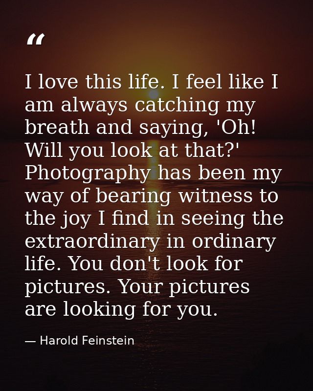I love this life. I feel like I am always catching my breath and saying, 'Oh! Will you look at that?' Photography has be — Harold Feinstein