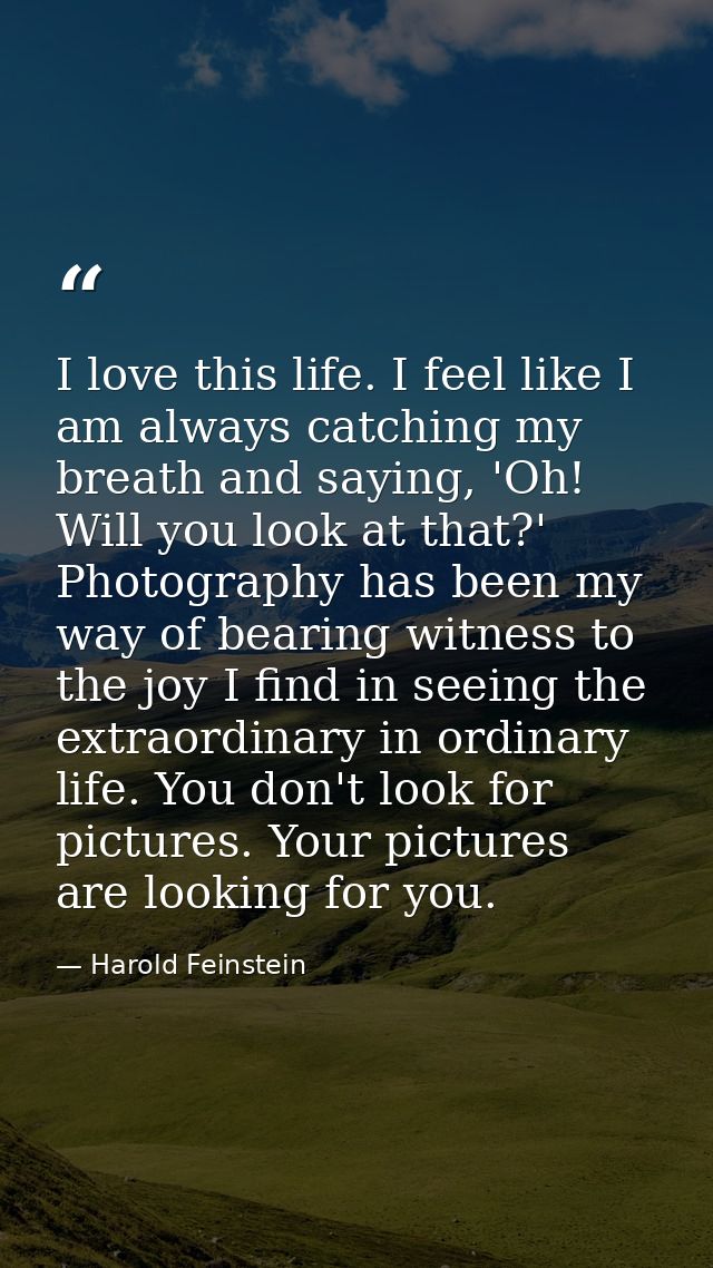I love this life. I feel like I am always catching my breath and saying, 'Oh! Will you look at that?' Photography has be — Harold Feinstein