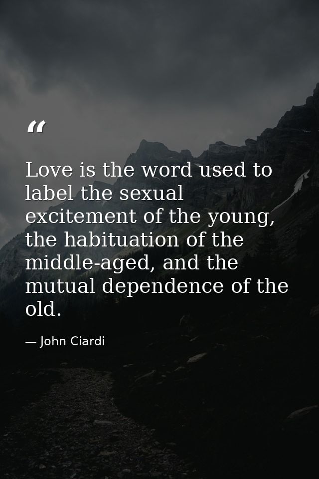 Love is the word used to label the sexual excitement of the young, the habituation of the middle-aged, and the mutual de — John Ciardi