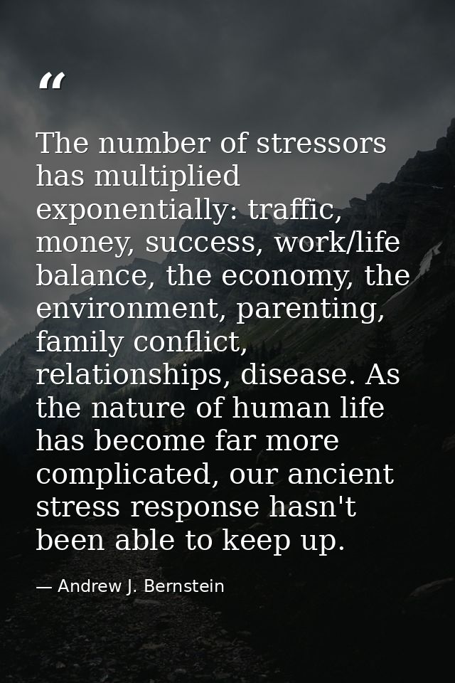 The number of stressors has multiplied exponentially: traffic, money, success, work/life balance, the economy, the envir — Andrew J. Bernstein