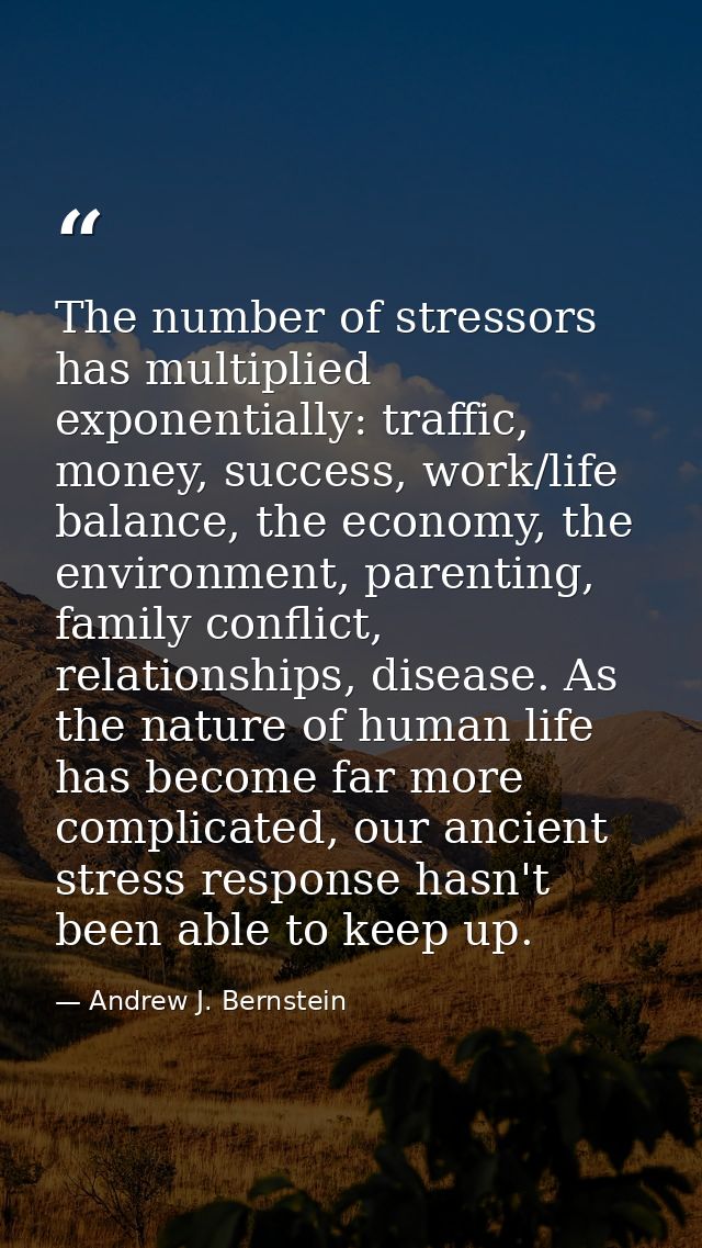 The number of stressors has multiplied exponentially: traffic, money, success, work/life balance, the economy, the envir — Andrew J. Bernstein
