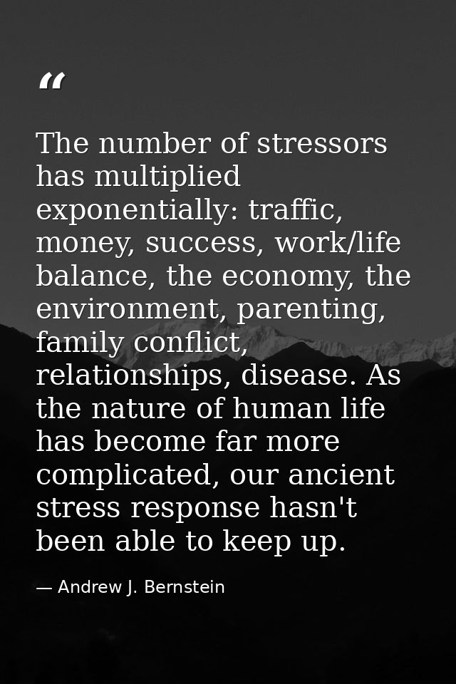 The number of stressors has multiplied exponentially: traffic, money, success, work/life balance, the economy, the envir — Andrew J. Bernstein