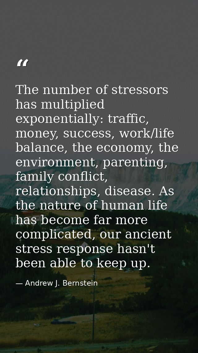 The number of stressors has multiplied exponentially: traffic, money, success, work/life balance, the economy, the envir — Andrew J. Bernstein