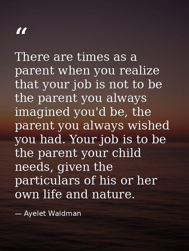 There are times as a parent when you realize that your job is not to be the parent you always imagined you'd be, the par — Ayelet Waldman