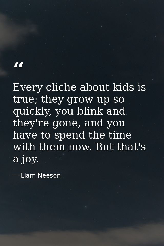 Every cliche about kids is true; they grow up so quickly, you blink and they're gone, and you have to spend the time wit — Liam Neeson