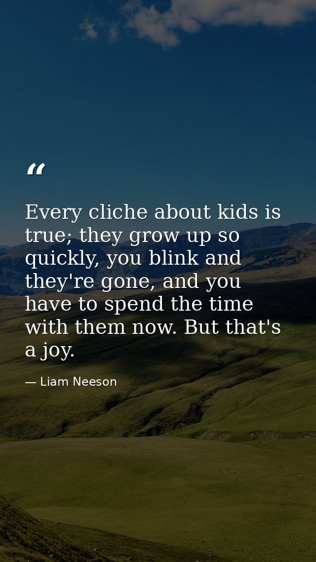 Every cliche about kids is true; they grow up so quickly, you blink and they're gone, and you have to spend the time wit — Liam Neeson