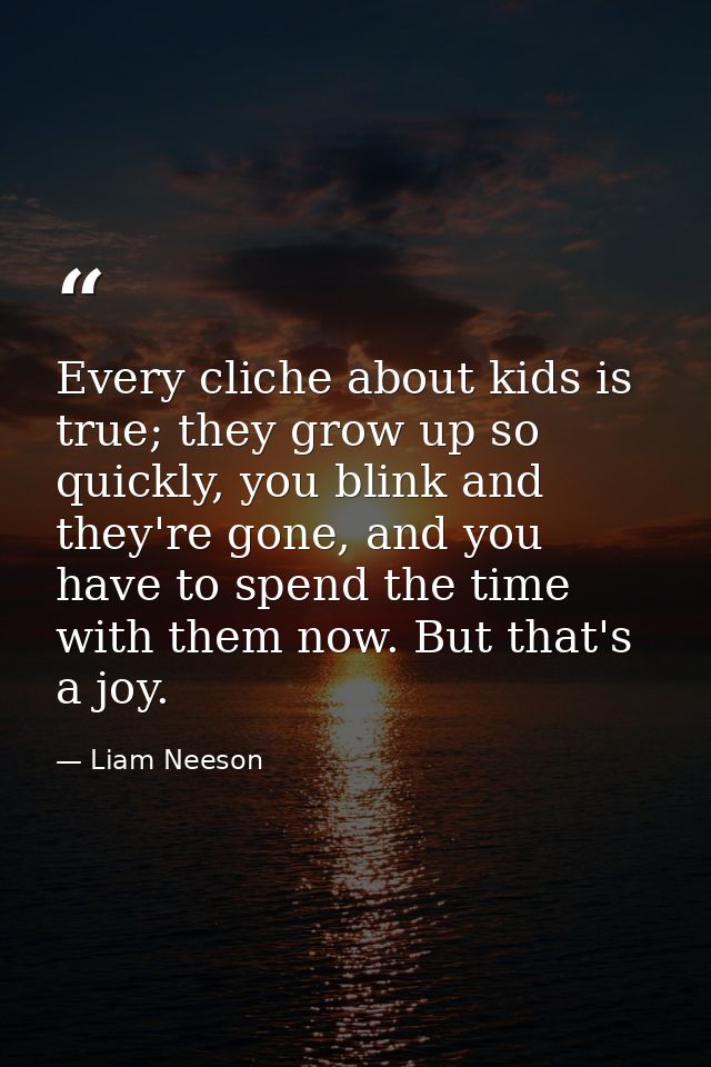 Every cliche about kids is true; they grow up so quickly, you blink and they're gone, and you have to spend the time wit — Liam Neeson