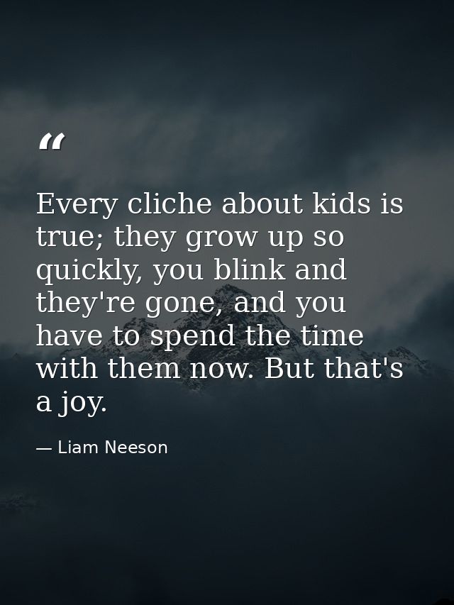 Every cliche about kids is true; they grow up so quickly, you blink and they're gone, and you have to spend the time wit — Liam Neeson