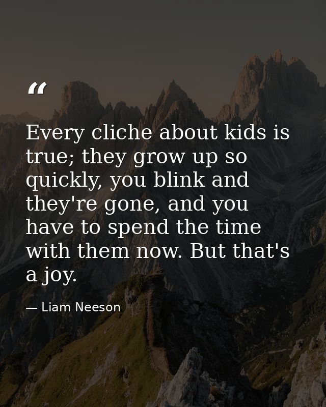 Every cliche about kids is true; they grow up so quickly, you blink and they're gone, and you have to spend the time wit — Liam Neeson