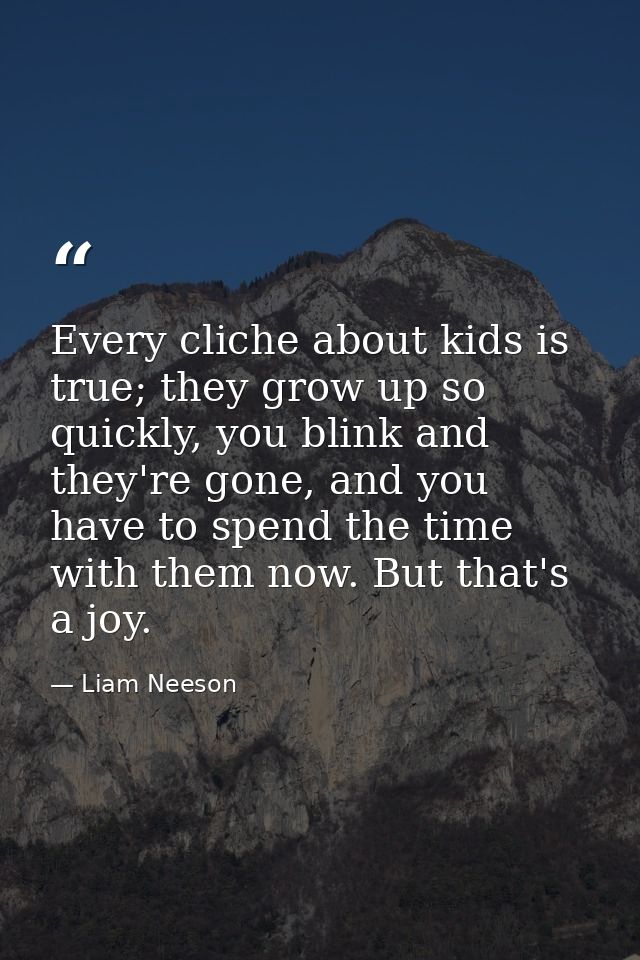Every cliche about kids is true; they grow up so quickly, you blink and they're gone, and you have to spend the time wit — Liam Neeson