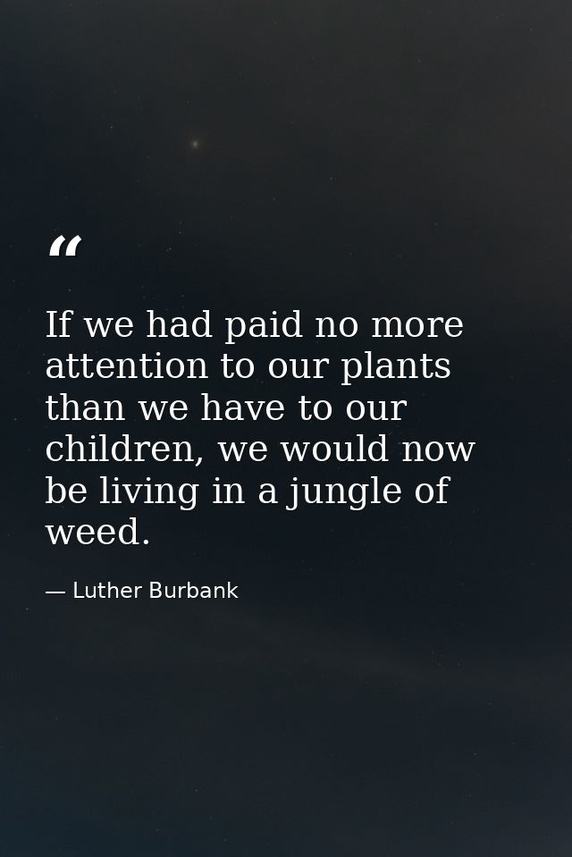 If we had paid no more attention to our plants than we have to our children, we would now be living in a jungle of weed. — Luther Burbank