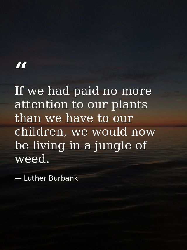 If we had paid no more attention to our plants than we have to our children, we would now be living in a jungle of weed. — Luther Burbank