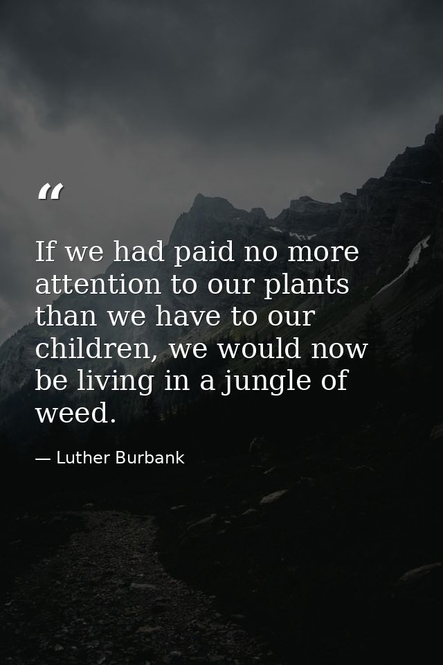 If we had paid no more attention to our plants than we have to our children, we would now be living in a jungle of weed. — Luther Burbank