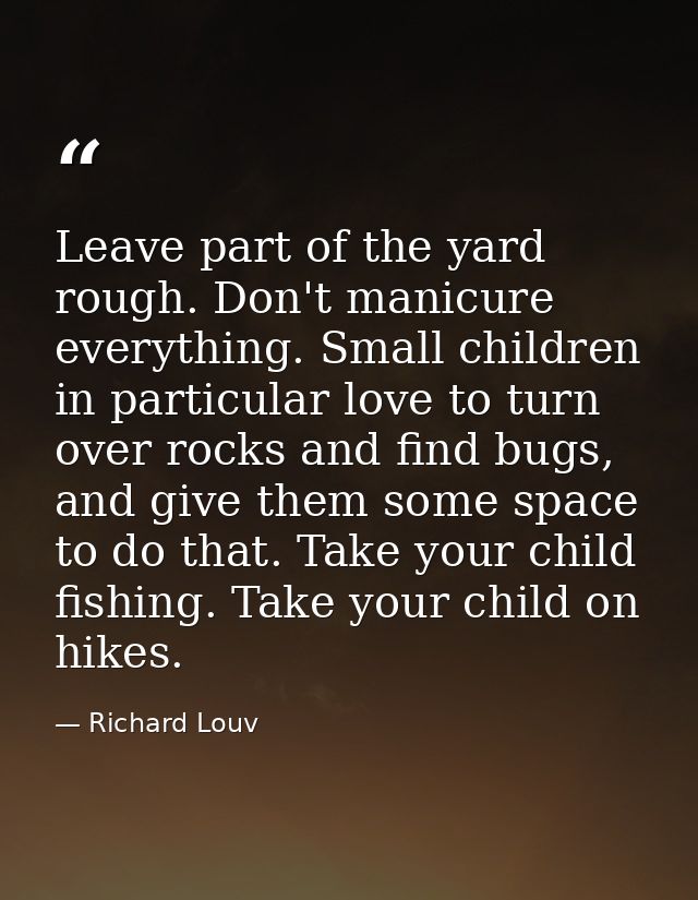 Leave part of the yard rough. Don't manicure everything. Small children in particular love to turn over rocks and find b — Richard Louv