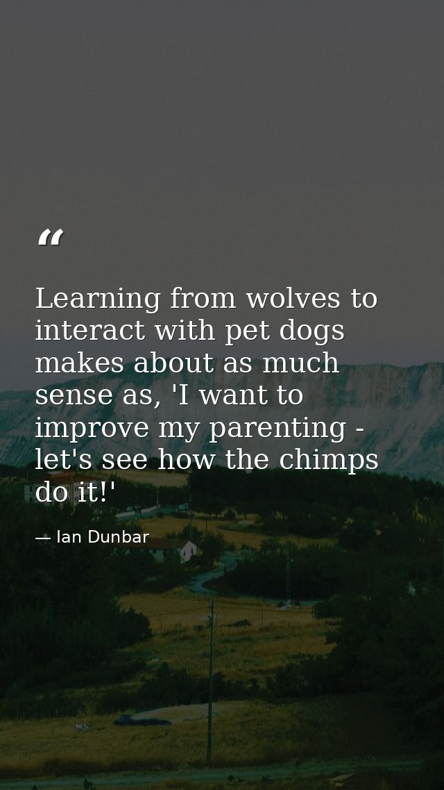 Learning from wolves to interact with pet dogs makes about as much sense as, 'I want to improve my parenting - let's see — Ian Dunbar