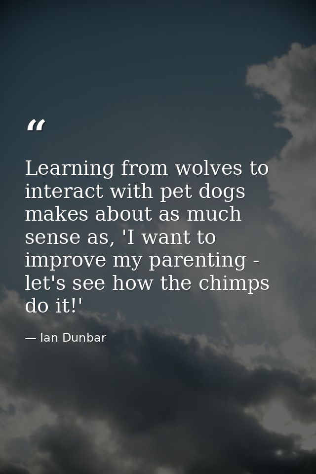 Learning from wolves to interact with pet dogs makes about as much sense as, 'I want to improve my parenting - let's see — Ian Dunbar