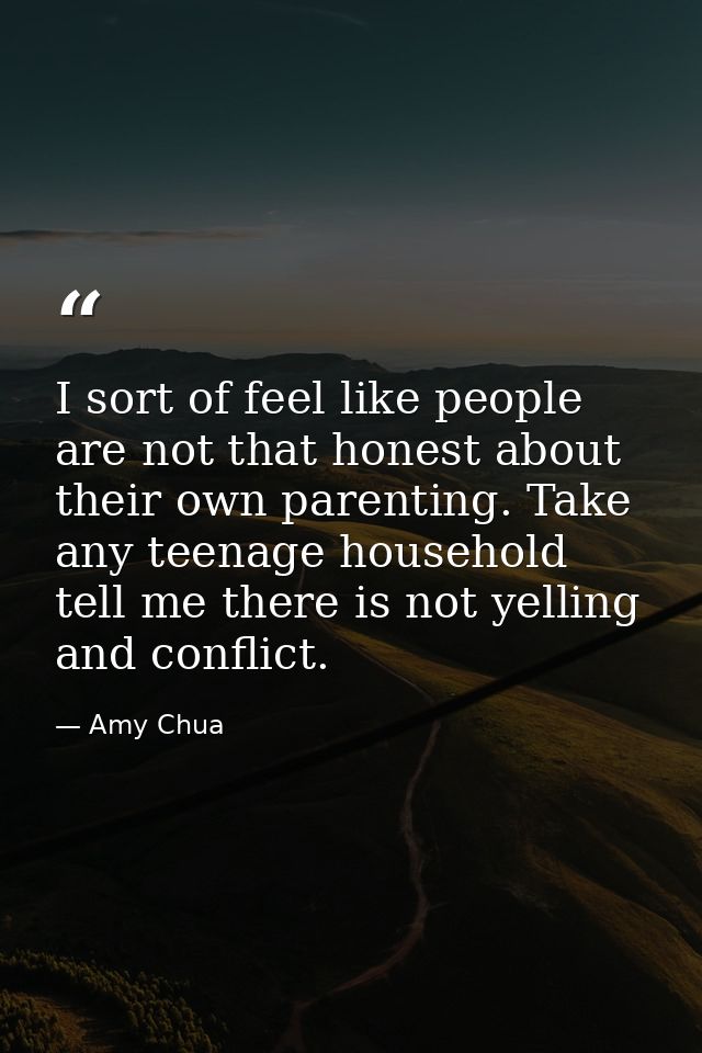 I sort of feel like people are not that honest about their own parenting. Take any teenage household tell me there is no — Amy Chua