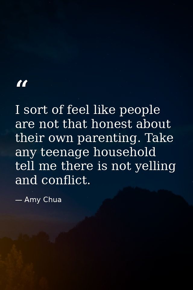 I sort of feel like people are not that honest about their own parenting. Take any teenage household tell me there is no — Amy Chua