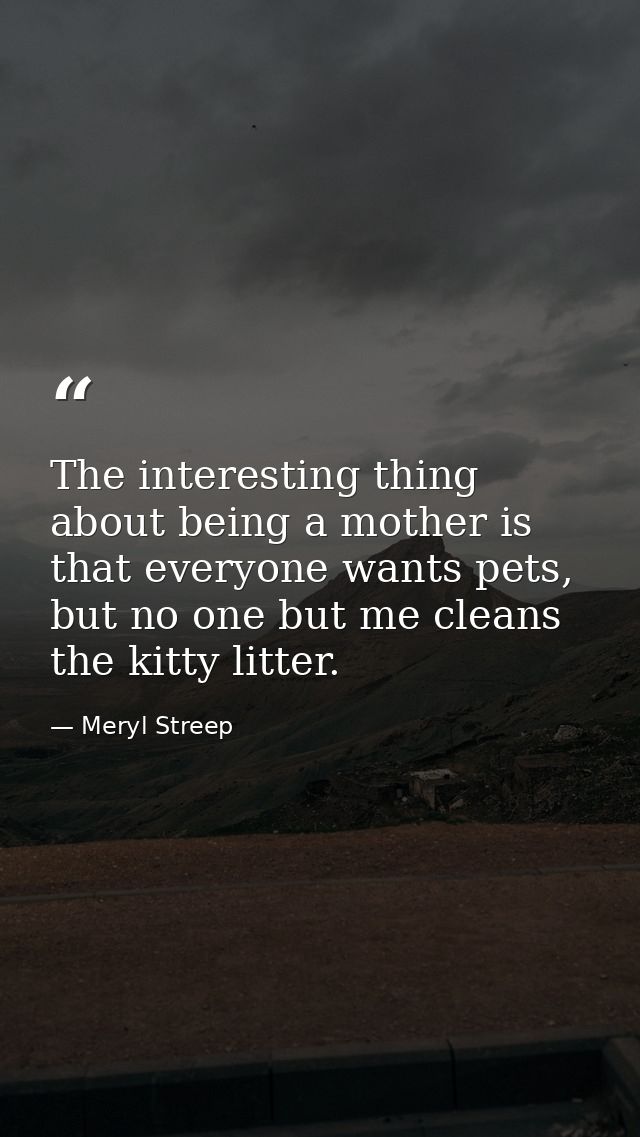 The interesting thing about being a mother is that everyone wants pets, but no one but me cleans the kitty litter. — Meryl Streep