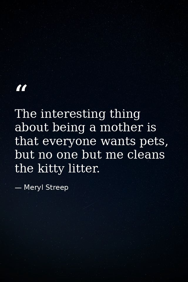 The interesting thing about being a mother is that everyone wants pets, but no one but me cleans the kitty litter. — Meryl Streep