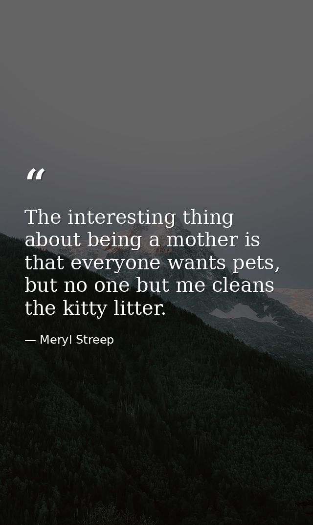 The interesting thing about being a mother is that everyone wants pets, but no one but me cleans the kitty litter. — Meryl Streep