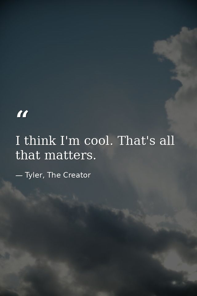 I think I'm cool. That's all that matters. — Tyler, The Creator
