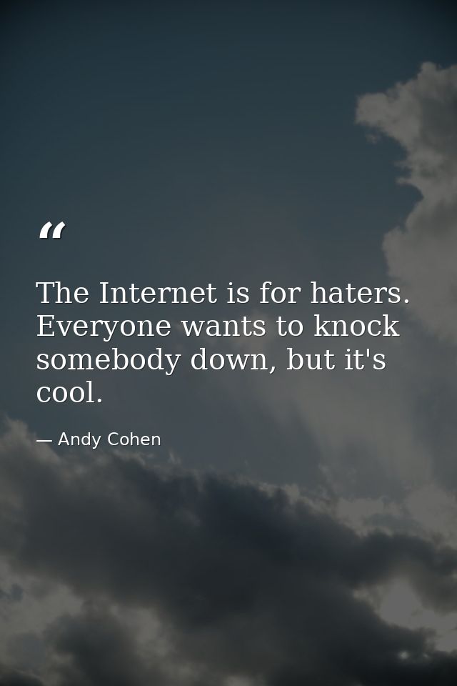 The Internet is for haters. Everyone wants to knock somebody down, but it's cool. — Andy Cohen