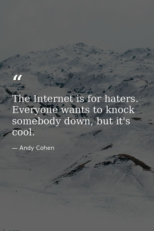 The Internet is for haters. Everyone wants to knock somebody down, but it's cool. — Andy Cohen