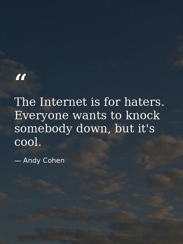 The Internet is for haters. Everyone wants to knock somebody down, but it's cool. — Andy Cohen