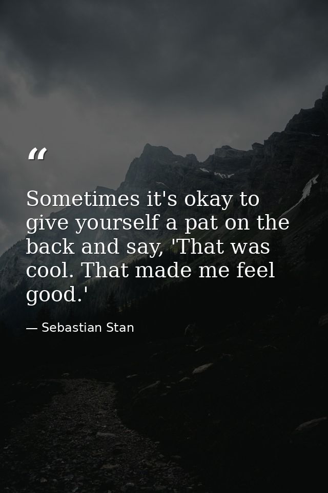 Sometimes it's okay to give yourself a pat on the back and say, 'That was cool. That made me feel good.' — Sebastian Stan